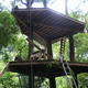 Illustration for article titled Bellavista's Biodigesting Treehouses Are Endor on Earth